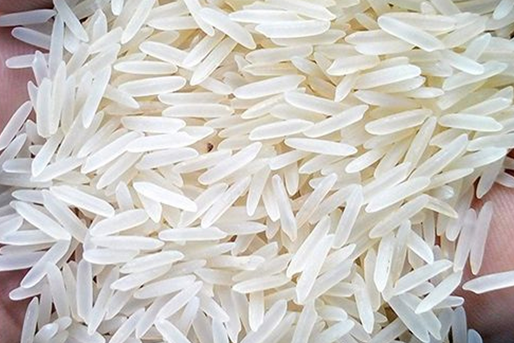 Basmati Rice